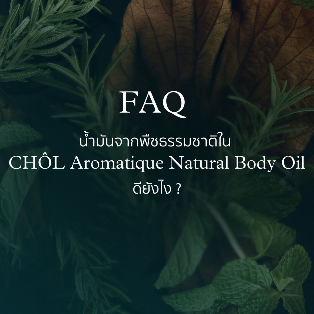 น้ำมันจากพืชธรรมชาติใน CHOL Aromatique Natural Body Oil ดียังไง ?