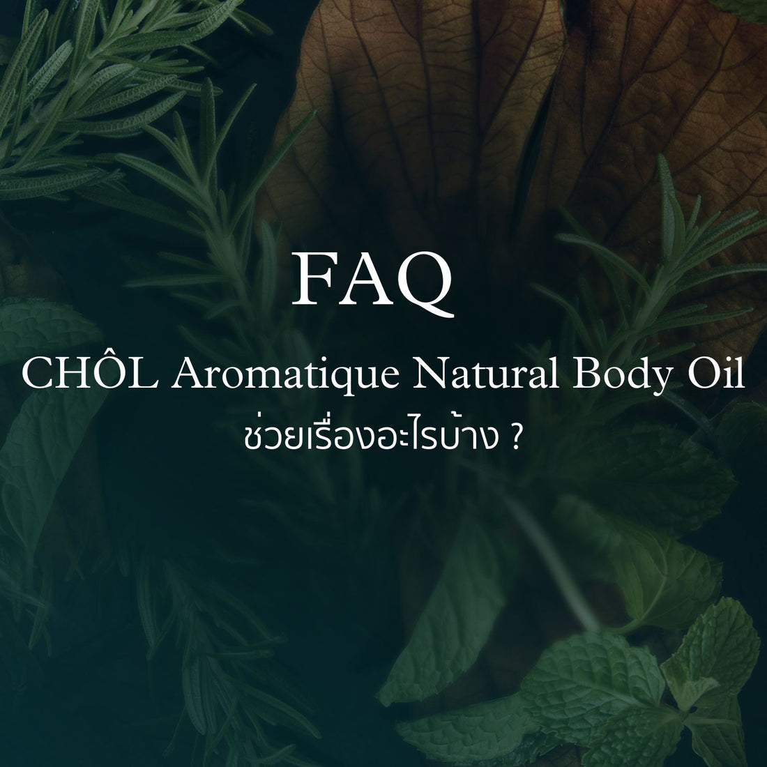 CHOL Aromatique Natural Body Oil ช่วยเรื่องอะไรบ้าง ?