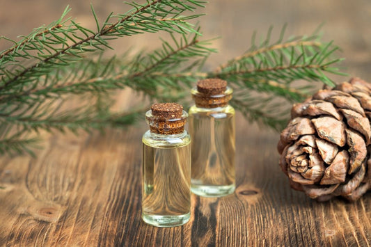 World of Scent : Cedarwood