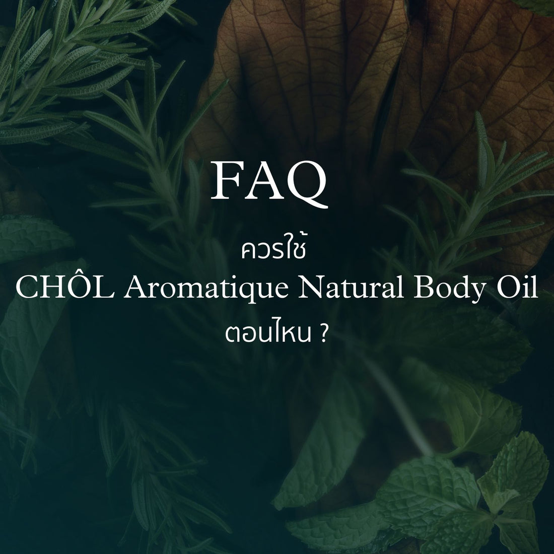 รู้ไว้ Glow แน่ ! เราควรใช้ Body Oil ตอนไหน ?