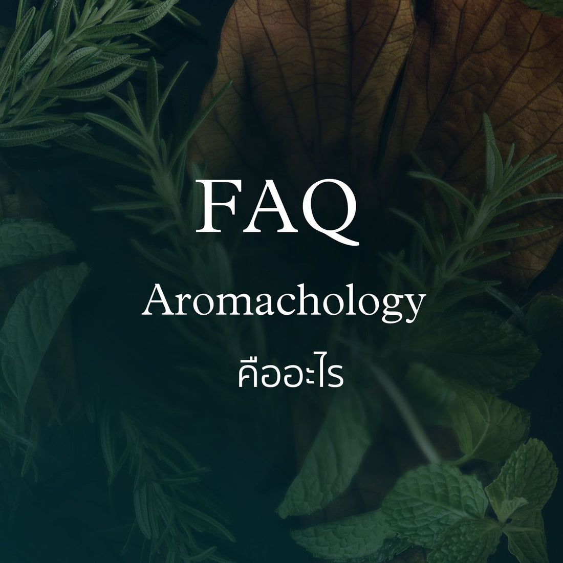 Aromachology คืออะไร