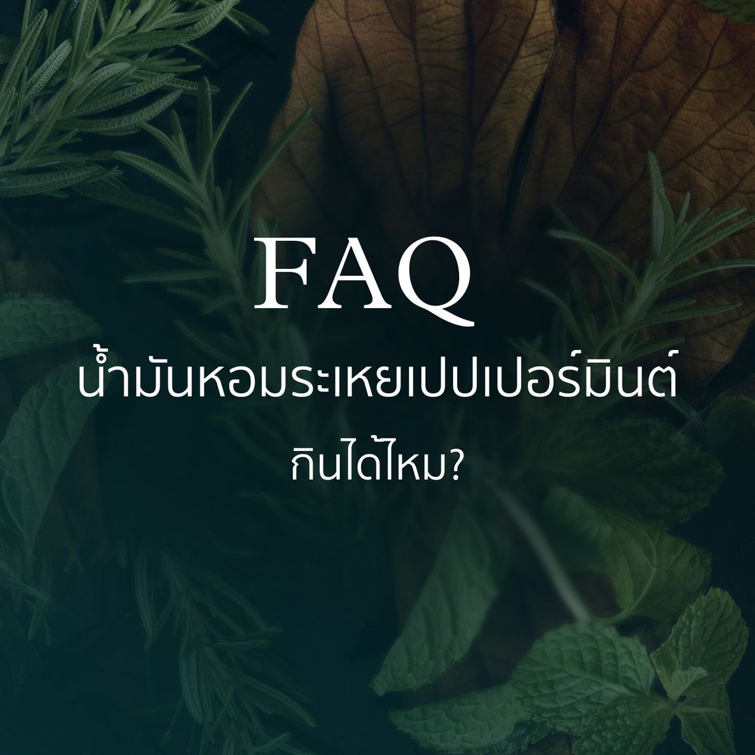 น้ำมันหอมระเหยเปปเปอร์มินต์กินได้ไหม?