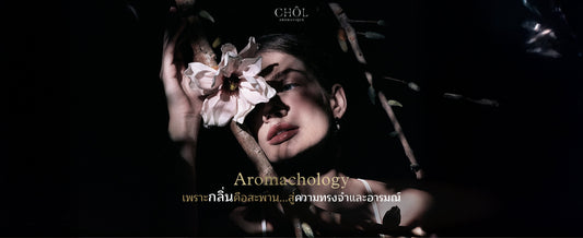 Aromachology: เพราะกลิ่นคือสะพานสู่ความทรงจำและอารมณ์