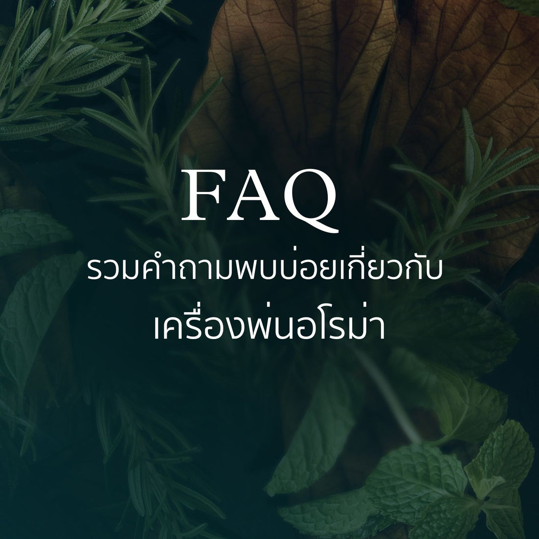 รวมคำถามพบบ่อยเกี่ยวกับ เครื่องพ่นอโรม่า