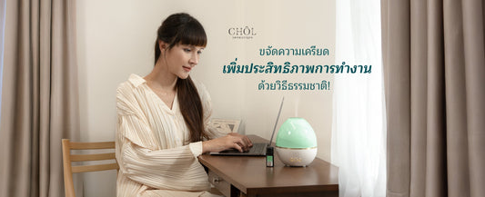 ขจัดความเครียด เพิ่มประสิทธิภาพการทำงาน ด้วย CHOL Aromatique WORK Series จากธรรมชาติ