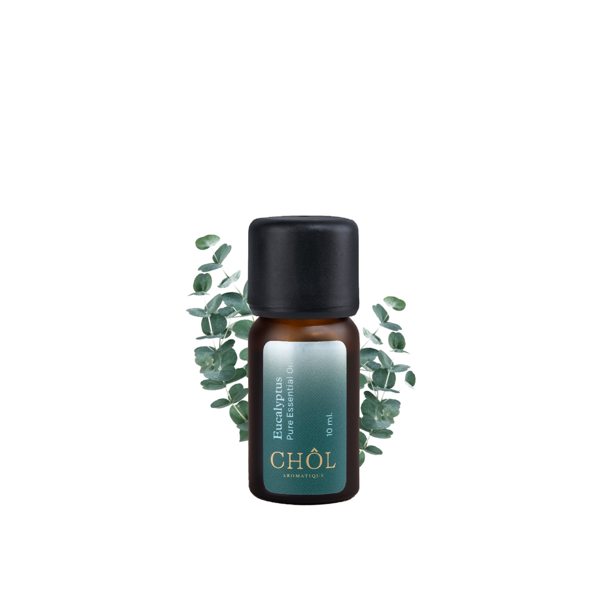All-Time Favorite Eucalyptus Pure & Natural Essential Oil