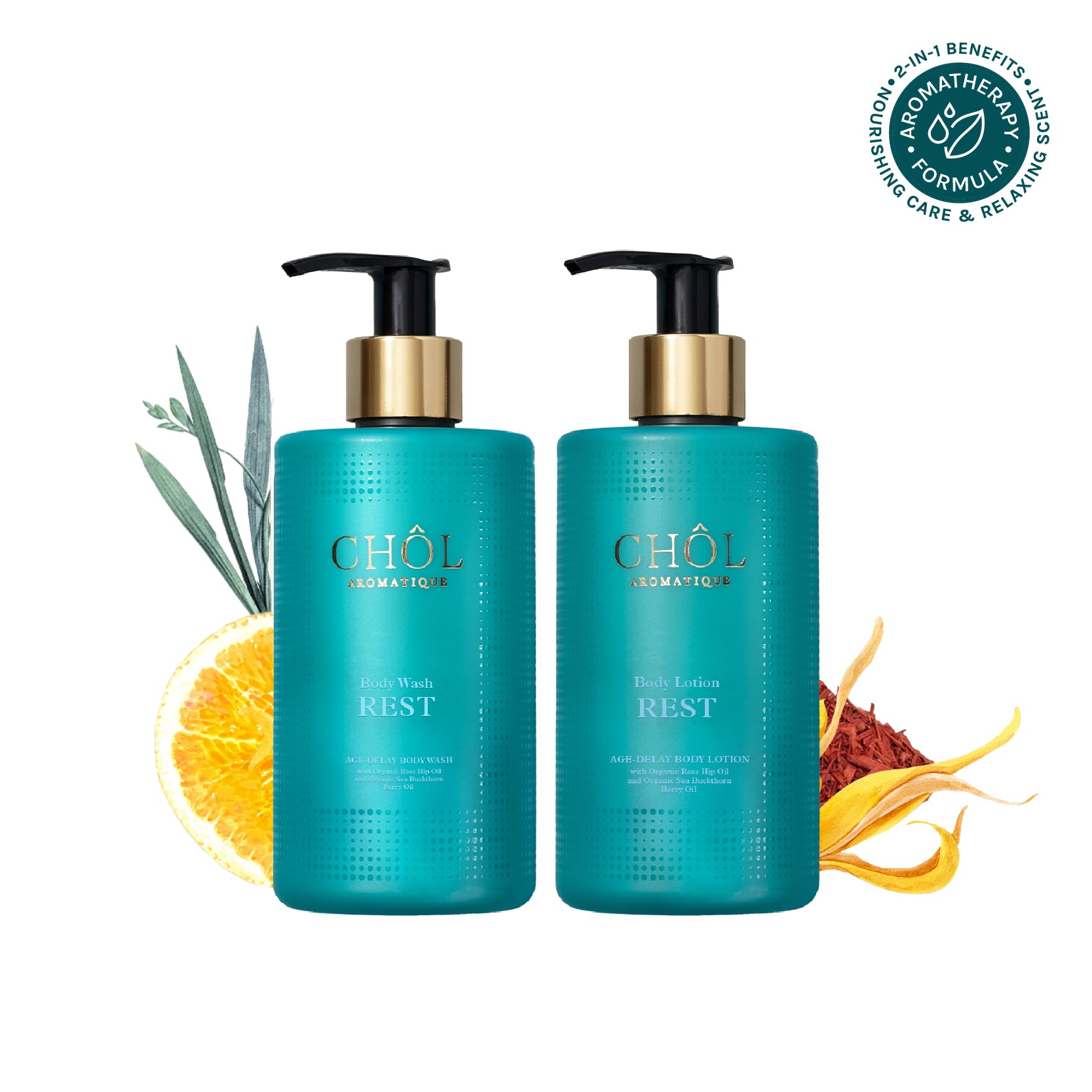 Body ‘REST’ Routine Set [Box Set]