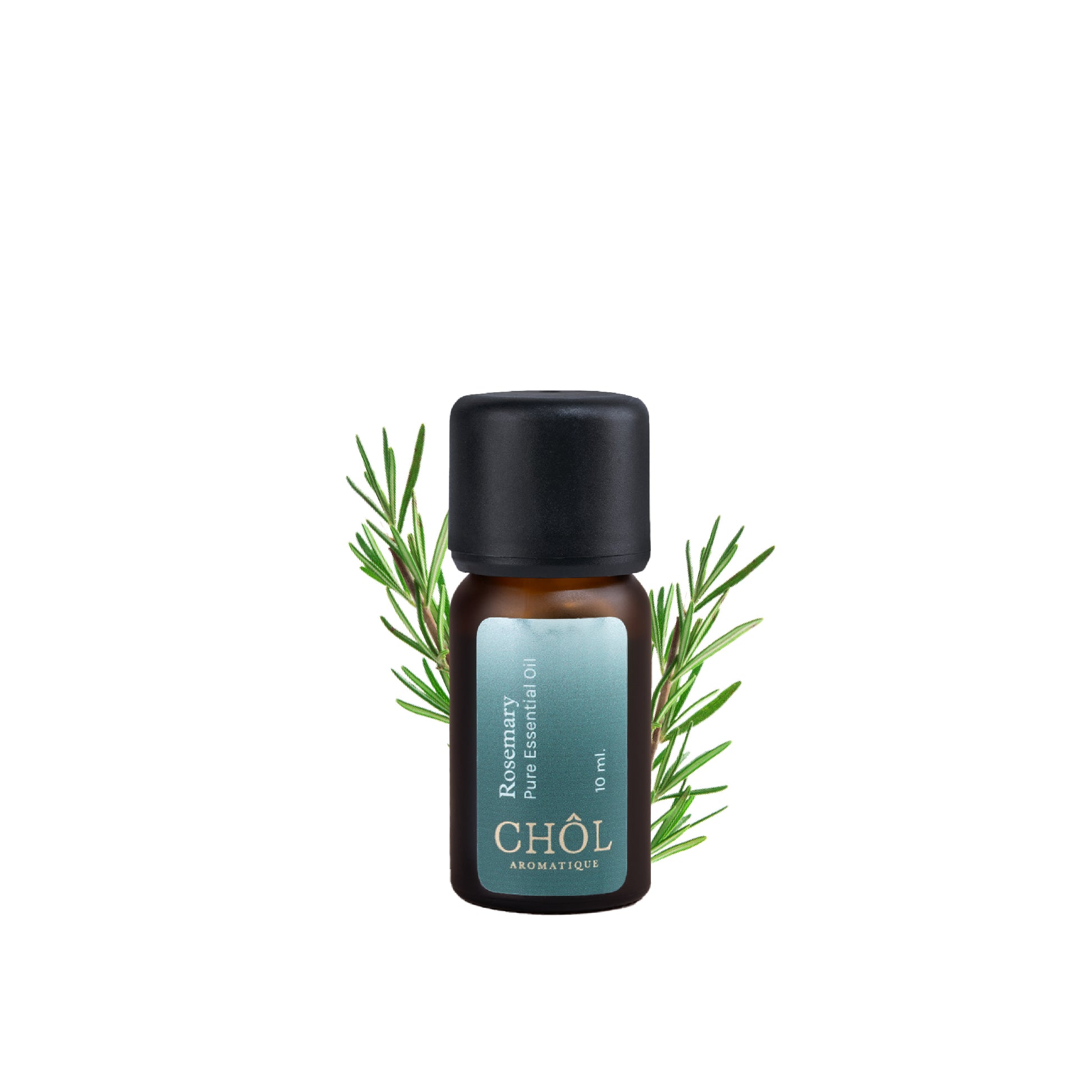 All-Time Favorite Rosemary Pure & Natural Essential Oil