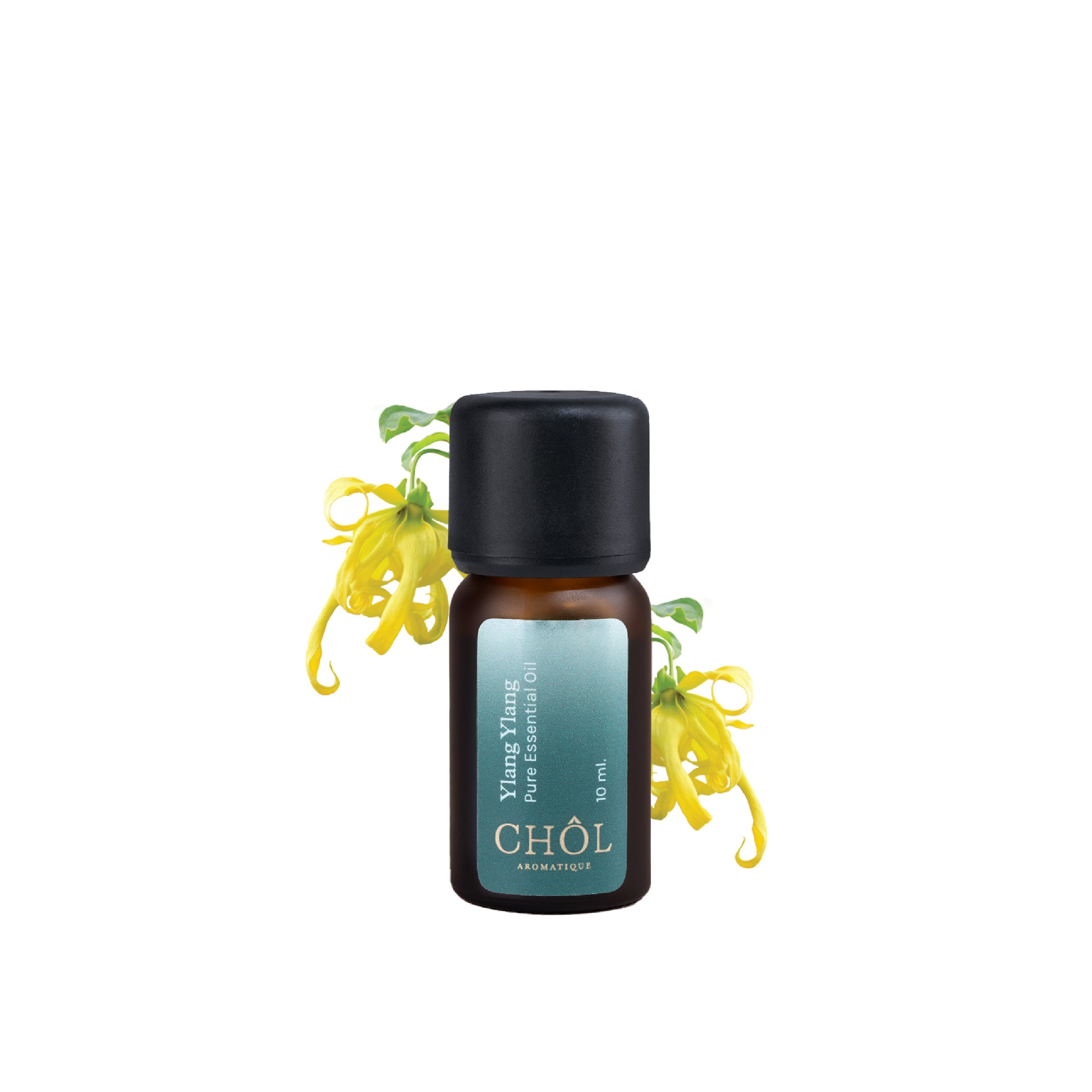 All-Time Favorite Ylang Ylang Pure & Natural Essential Oil